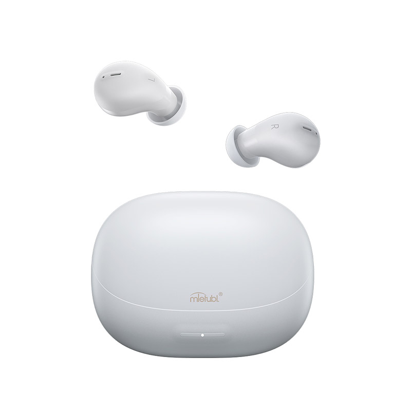 Physical noise cancellation earbuds