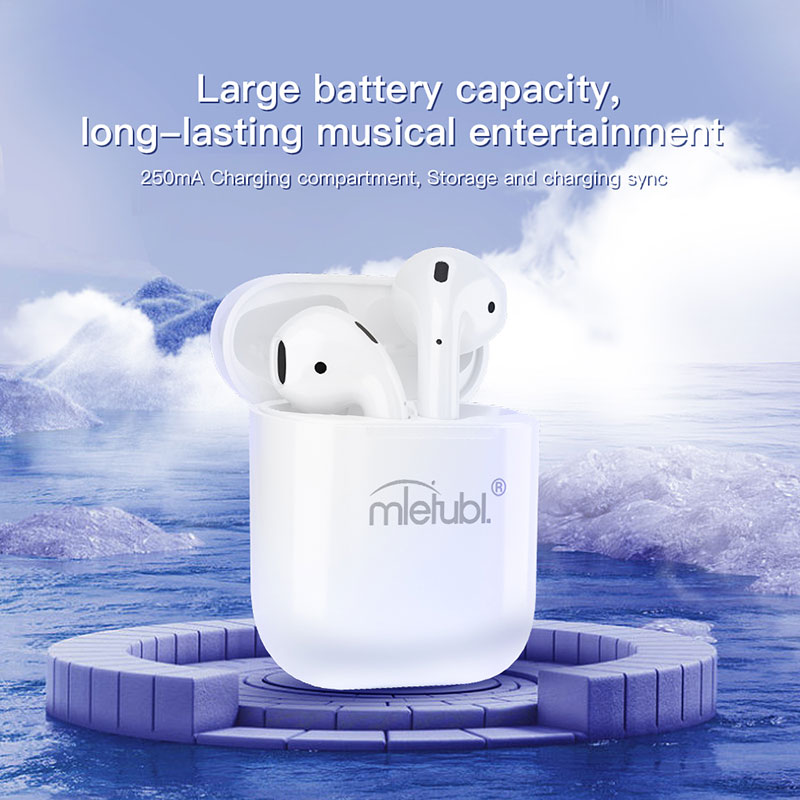 Wireless earbuds with Charging Case